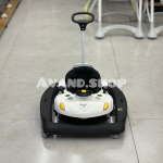 روروئک دلیجان مدل روما (مشکی) - Image 2